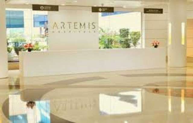 Ospital ng Artemis