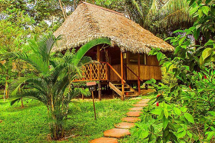 Magagandang Jungle Lodge