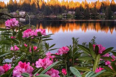 3 Day Cottage Lake B&B Retreat in Woodinville ، الولايات المتحدة الأمريكية