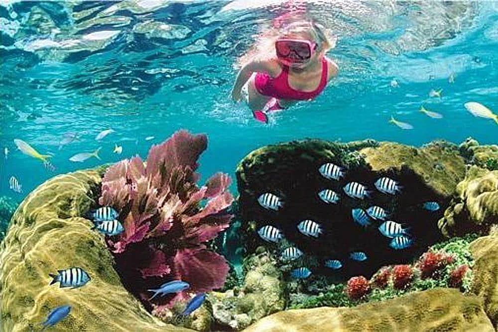 5 Day Ocean Adventure & Spa Yoga Wellness Retreat في كي ويست ، الولايات المتحدة
