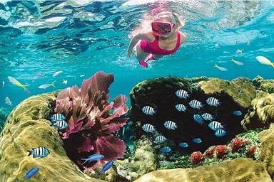 5 Day Ocean Adventure & Spa Yoga Wellness Retreat sa Key West, US