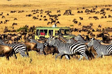 8 Day Safari sa Ngorongoro at Serengeti National Park, Africa