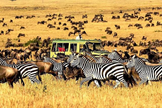 8 Day Safari sa Ngorongoro at Serengeti National Park, Africa