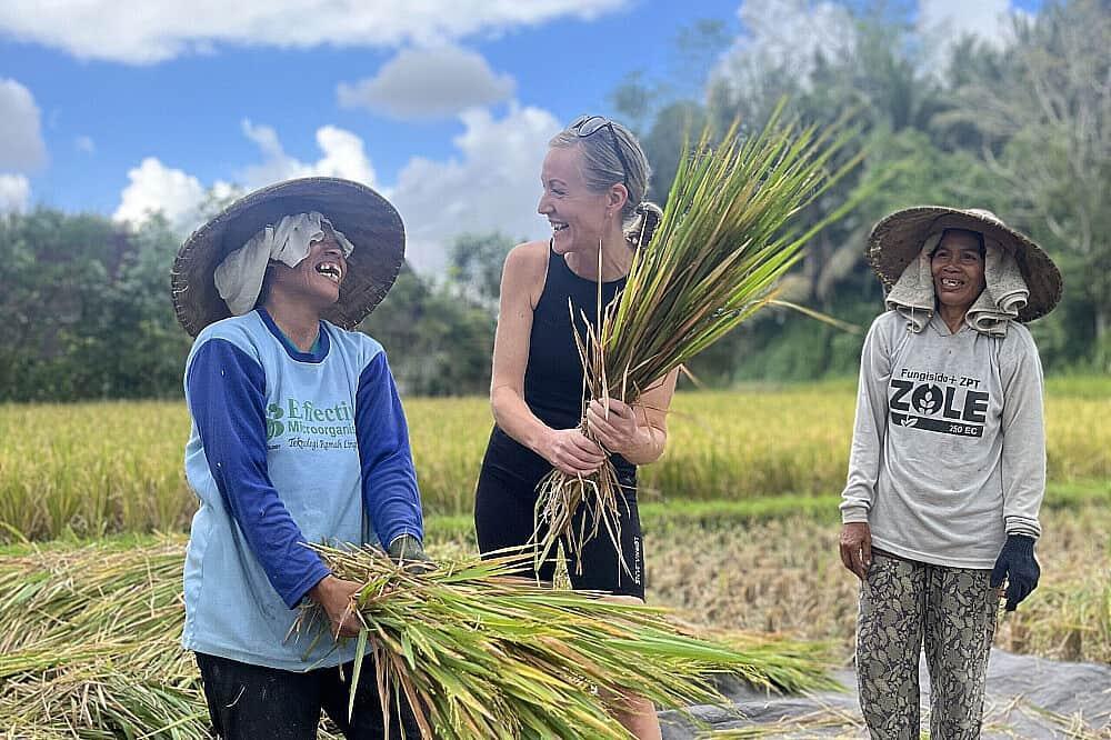 5 توازن مثالي للاسترخاء والتعلم في Ubud ، بالي