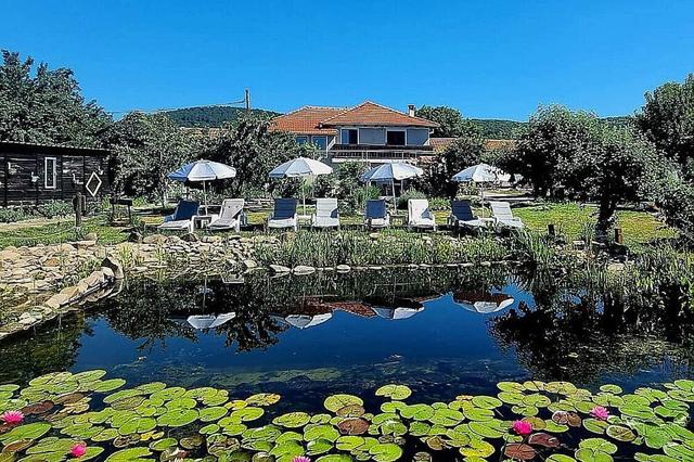 4 Day Reiki Antas 1 Pagsasanay sa Pagsasanay sa Magagandang Bulgaria