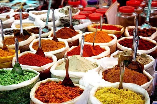 11 جولة "ألوان الهند" مع التأمل، راجستان