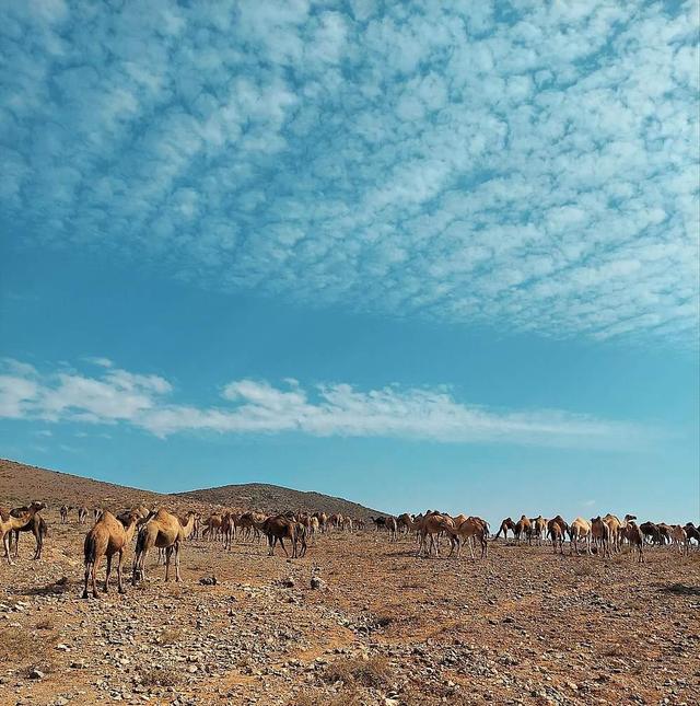 9 يوم خارج اليوغا واستكشاف الصحراء في المغرب