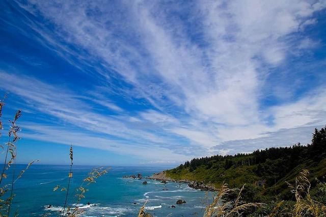 18 Araw ng 200-oras na Therapeutic Yoga Teacher Training sa California, US