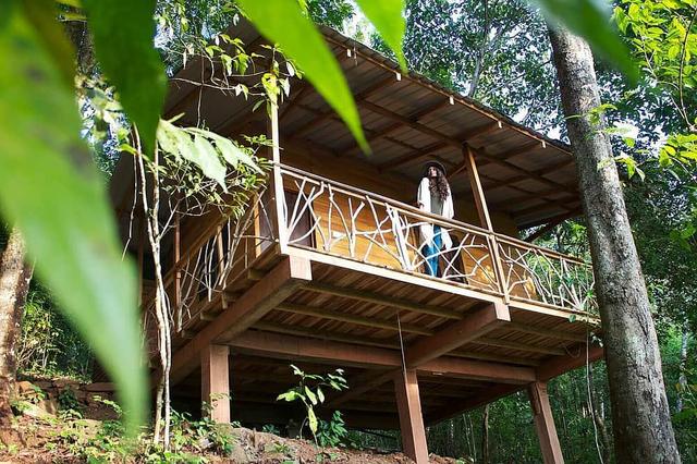 4 Hiking hari, memasak & menanam pokok & percutian yoga di Sri Lanka