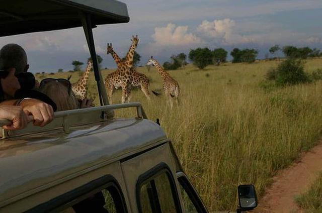8 Day Private o Group Yoga at Safari Retreat sa Kampala, Uganda