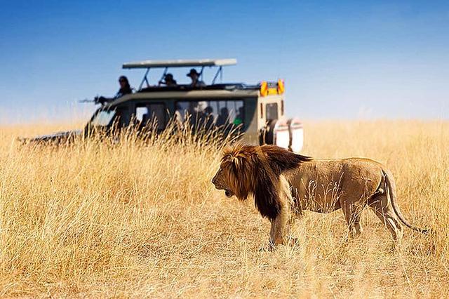 5 Day Safari sa Tarangire, Lake Manyara, at Ngorongoro, Africa