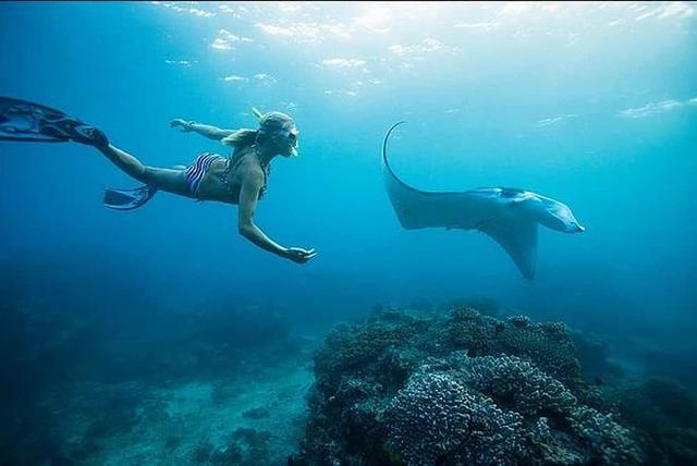 5 Day Ocean Adventure & Spa Yoga Wellness Retreat في كي ويست ، الولايات المتحدة