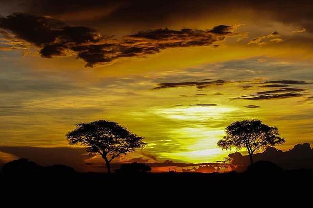 8 Day Private o Group Yoga at Safari Retreat sa Kampala, Uganda