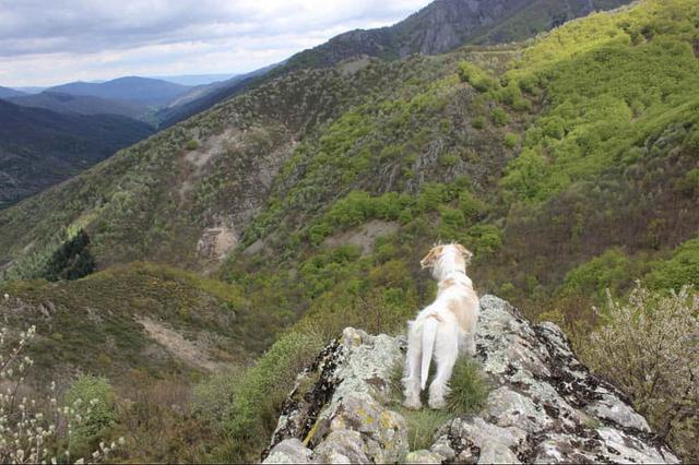8 Araw na Muling Kumonekta sa Iyong Sarili na Personal na Retreat sa Ardeche, France