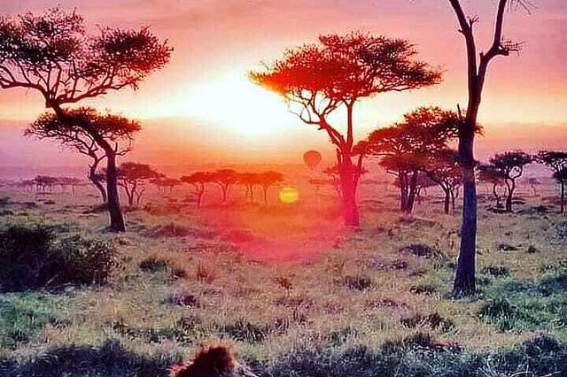 4 Safari Balon Udara Panas Serengeti di Tanzania, Afrika