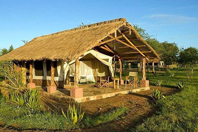 8 يوم Safari إلى Ngorongoro و Serengeti National Park ، أفريقيا