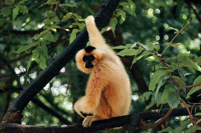 8 Araw ng 'Jungle Vibes' 2025 Retreat sa Magical Peru