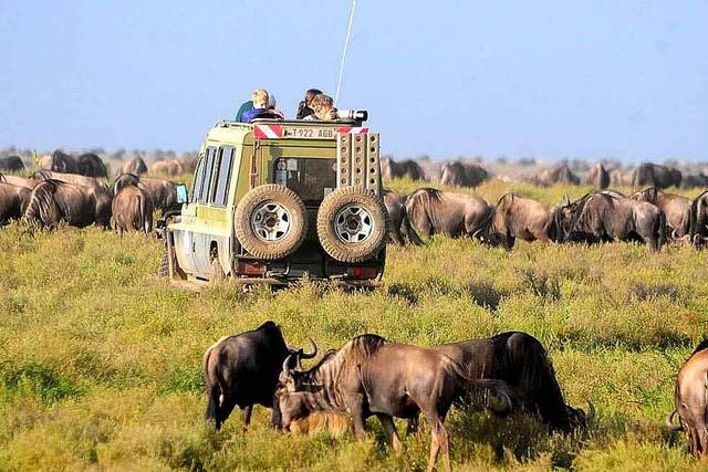 5 Day Safari sa Tarangire, Lake Manyara, at Ngorongoro, Africa
