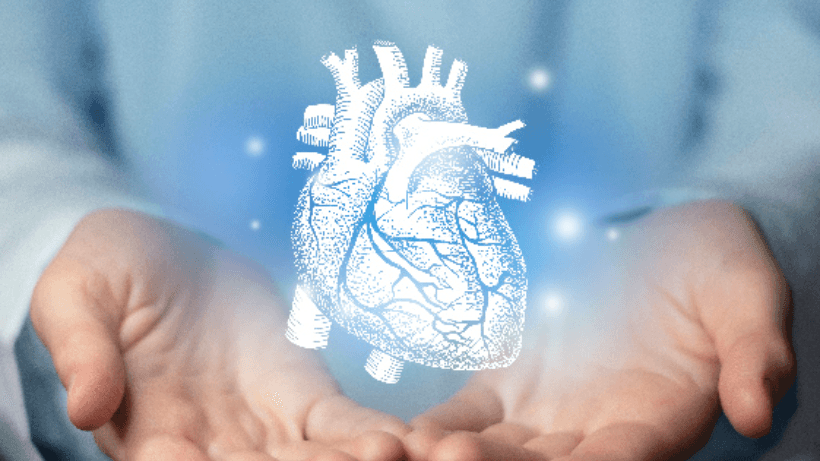 article-card-image